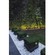 Garden Project
