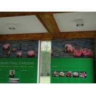 Burnby Hall Gardens Visitors Centre