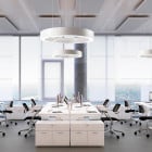 White Panzeri Golden Ring Suspensions in Office