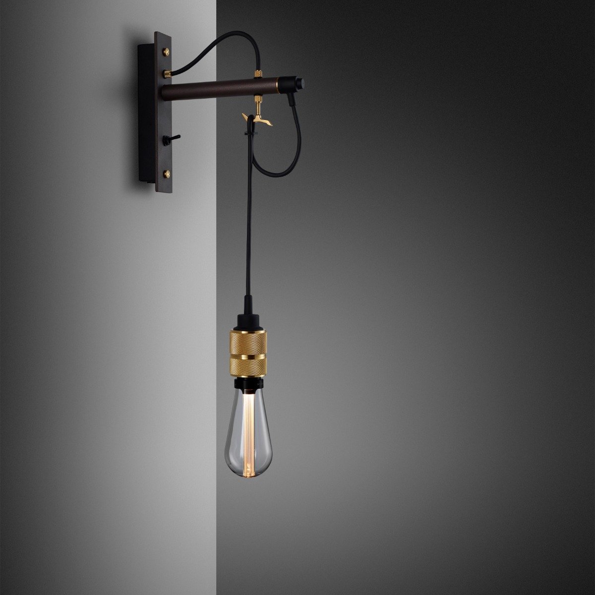 1. Hooked_Wall_Graphite_Brass_Crystal_Bulb.jpg