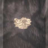 Arturo Alvarez Nevo Pendant 