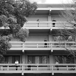 Image of BRANCH