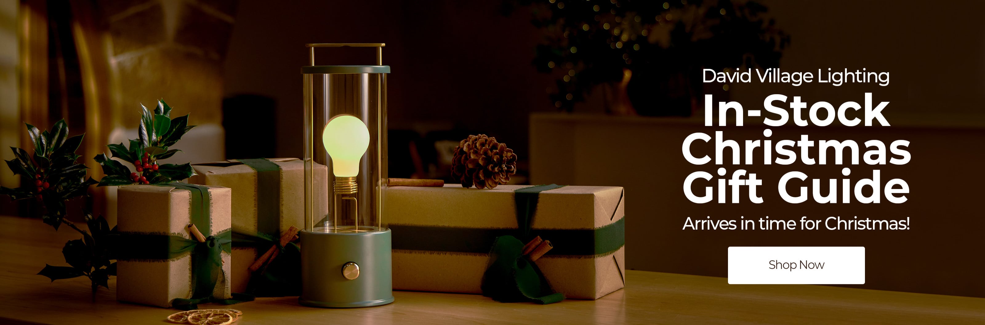 In Stock Christmas Gift Guide