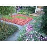 Chelsea Flower Show