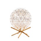 Moooi Raimond II Tensegrity LED Floor Lamp