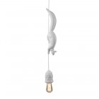 Karman Sherwood e Robin Suspension Light 