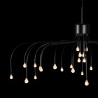 Moooi Starfall Light LED Suspension