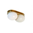 SkLO Twin 2.0 Wall/ Ceiling Light