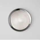 Artemide Niki Wall/Ceiling Light