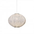 Arturo Alvarez Coral Seaurchin Suspension