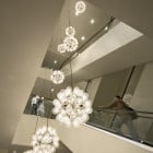 Flos Taraxacum 88 Pendant