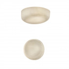 Karboxx Ola Slim Wall / Ceiling Light