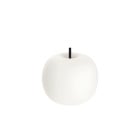 KDLN Kushi Table Lamp