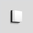 Bega 33036 Wall / Ceiling LED Medium 