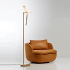 Moooi Perch Light LED Floor Lamp