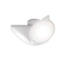 Axolight Orchid PL LED Ceiling / Wall Light