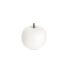 KDLN Kushi Mobile LED Portable Lamp