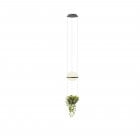 Vibia Palma 3724 LED Pendant