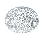 Artemide Calipso App Compatible LED Ceiling / Wall Light