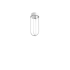 Flos In Vitro LED Outdoor Ceiling Light