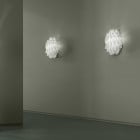 Axolight Aura AP Wall Light