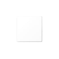 BEGA 12146 LED Ceiling / Wall Light