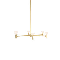Tala Root Chandelier
