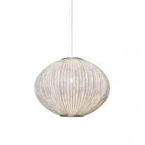 Arturo Alvarez Coral Seaurchin Suspension