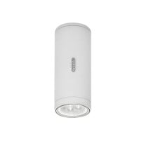 Artemide Architectural Calumet LED Exterior Ceiling Light