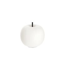 KDLN Kushi Mobile LED Portable Lamp
