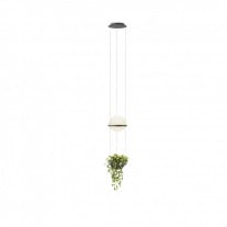 Vibia Palma 3724 LED Pendant