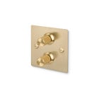 Buster and Punch 2G Modular Dimmer Switch Brass Linear