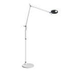 Artemide Demetra Professional Reading Floor lamp Opaque black