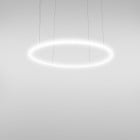 Artemide Alphabet of Light Circular LED Suspension 90 cm