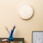 Artemide Calipso LED Ceiling/Wall App Compatible