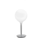 Artemide Castore Table Lamp - 25