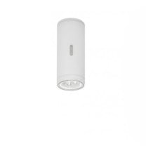 Artemide Calumet Exterior Ceiling Light - Grey White, 8