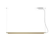 Compendium Suspension Light in Brass
