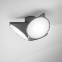 Axolight Orchid PL LED Ceiling and Wall Light Anthracite grey