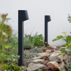 Graphite BEGA 77249 LED Bollards
