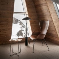 Dark Wood, Black Kartell Smart Wood K/Wood Chair