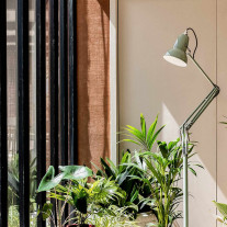 Anglepoise Original 1227 Floor Lamp National Trust Sage Green