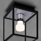 Steel Buster + Punch Caged Wet Ceiling Light