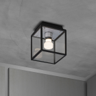 Steel Buster + Punch Caged Wet Ceiling Light