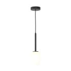 Astro Tacoma Pendant Matt Black Tacoma Tulip White