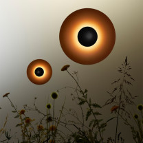 Marset Ginger C LED Outdoor Wall Light Lifestyle Plants