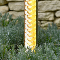 Sammode Studio Elgar Wall Light Close up