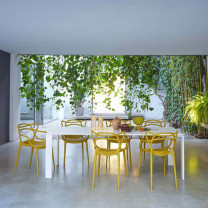 Mustard Kartell Masters Chairs