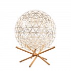 Moooi Raimond II Tensegrity LED Floor Lamp R89