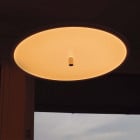 Close Up of Flos My Disc LED Pendant